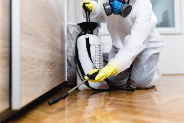 Best Termite Control Services  in Meadowbrook, AL