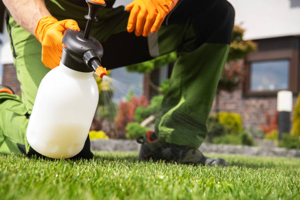 Best Exterminator Services  in Meadowbrook, AL