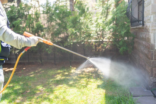 Insect Control in Meadowbrook, AL