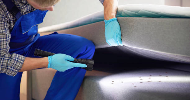 Best Cockroach Control Services  in Meadowbrook, AL