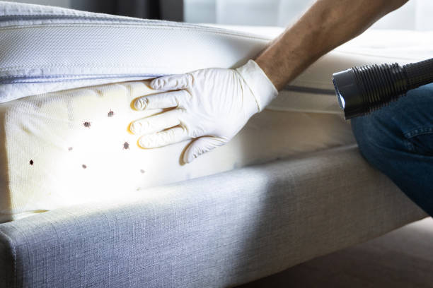 Best Commercial Pest Control Services  in Meadowbrook, AL