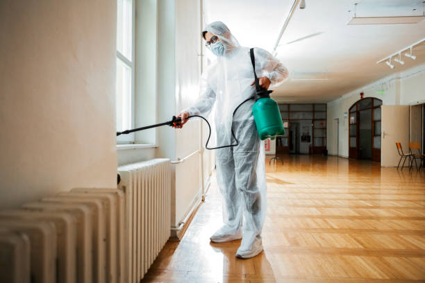 Trusted Meadowbrook, AL Pest Control Experts