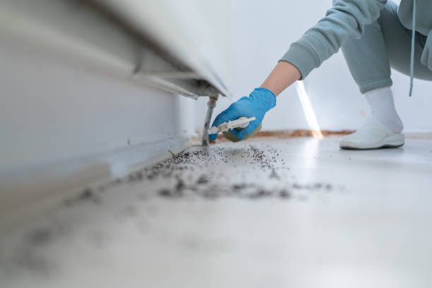 Best Best Pest Control Companies  in Meadowbrook, AL