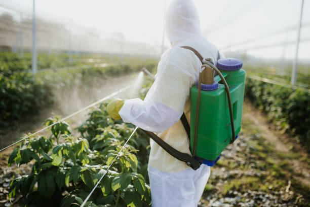 Best Pest Inspection Near Me  in Meadowbrook, AL